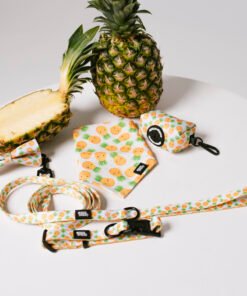 Pineapple Paradise - Style Set