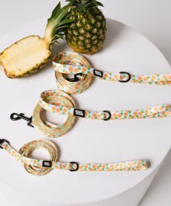 Pineapple Paradise - Leash