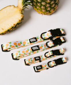 Pineapple Paradise - Collar