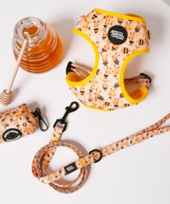 Honey Bees - Walk Set