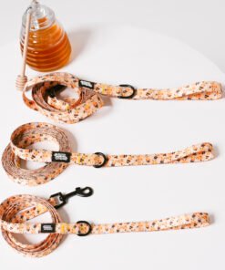 Honey Bees - Leash