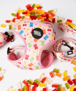 Gummy Party - Walk Set