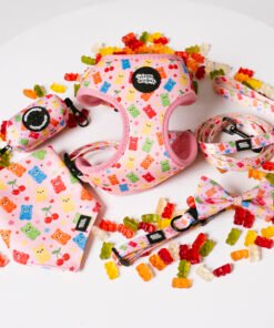 Gummy Party - Ultimate Set