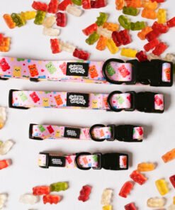 Gummy Party - Collar