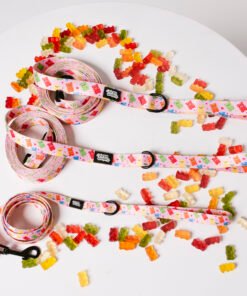 Gummy Party - Leash