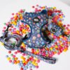 Galaxy Paws - Walk Set