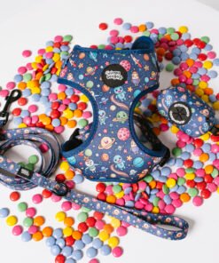 Galaxy Paws - Walk Set