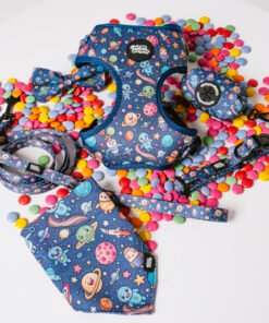 Galaxy Paws - Ultimate Set