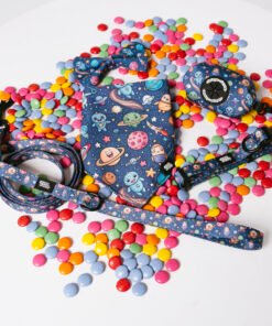 Galaxy Paws - Style Set