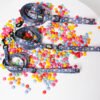 Galaxy Paws - Leash