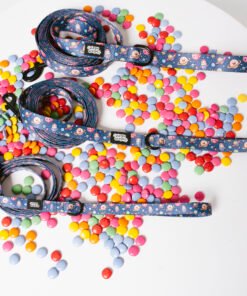 Galaxy Paws - Leash