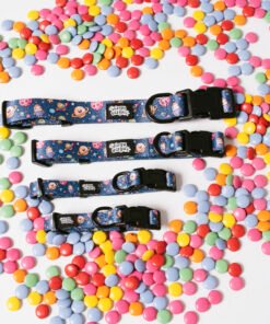 Galaxy Paws - Collar