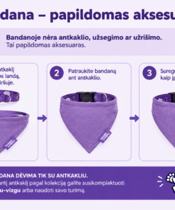 Bananų klubas - Bandana - Image 3